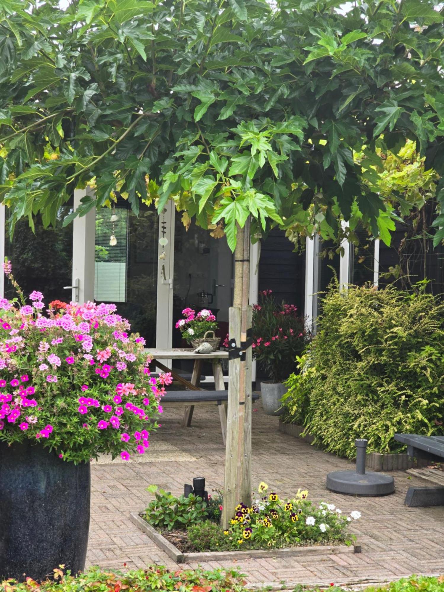 B&B Welkom ジーリクゼー エクステリア 写真
